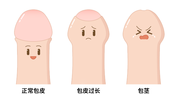 640 (1).png