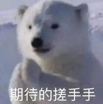 二价四价九价有什么区别?没想到性价比王者竟是它!(图5) 二价四价九价有什么区别?没想到性价比王者竟是它!(图5)